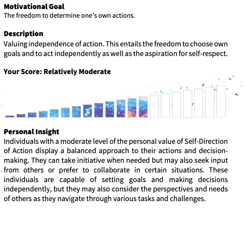 Self-Direction report preview
